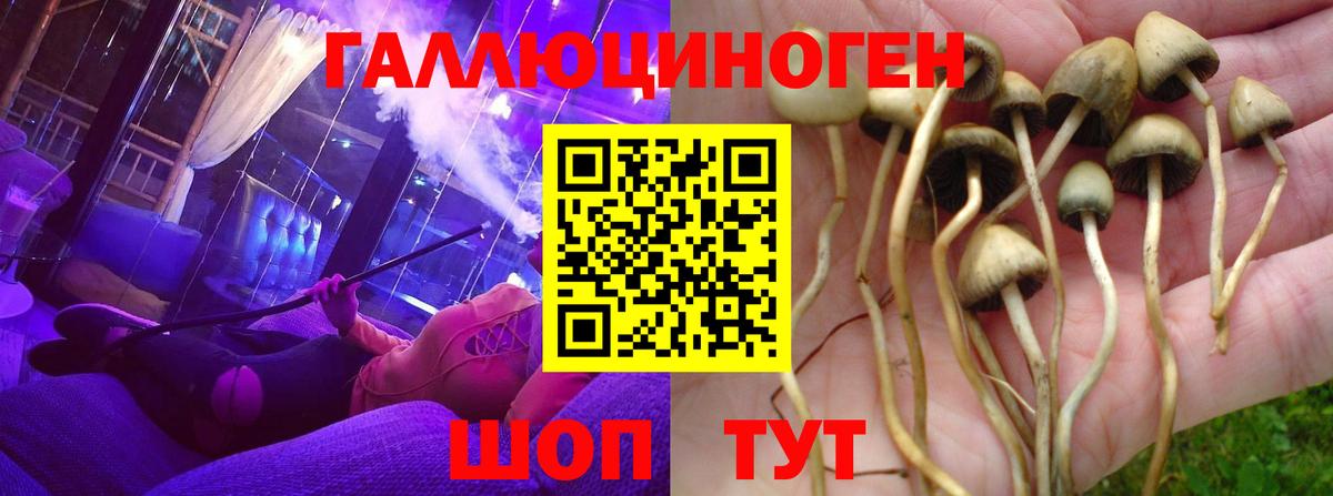 Псилоцибиновые грибы ЛСД  Псилоцибиновые грибы GOLDEN TEACHER  Балаково  Вход с VPN 